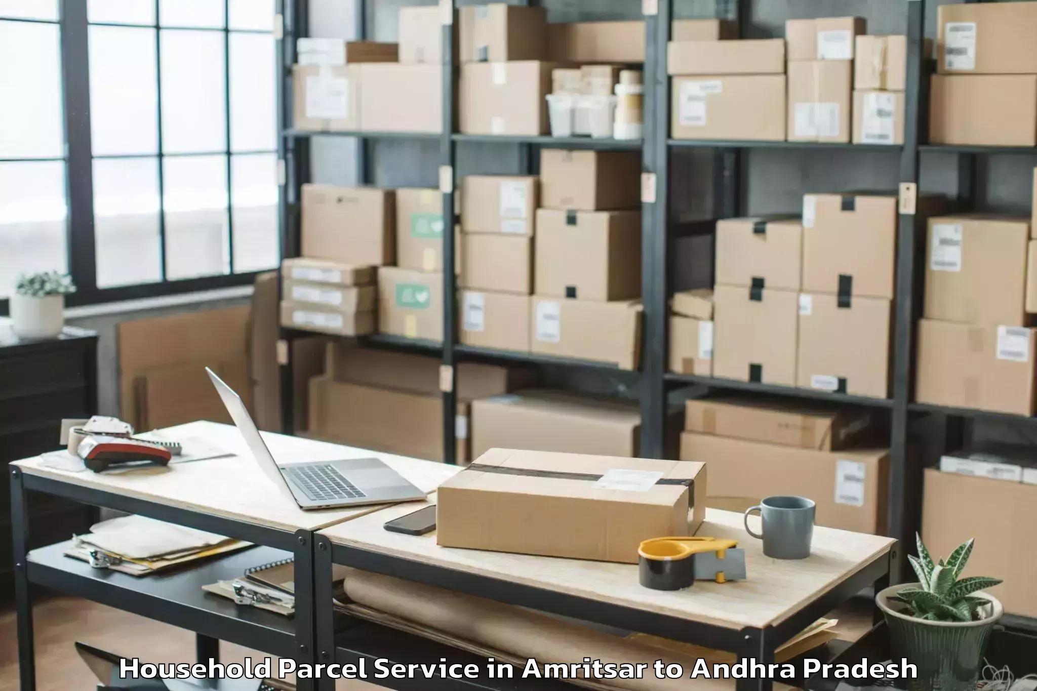 Professional Amritsar to Thotapalligudur Household Parcel